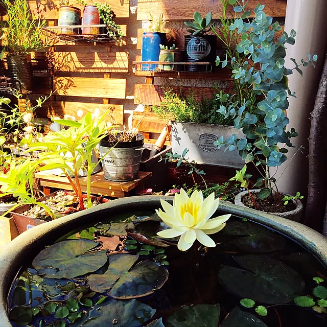 Choi_tasuさんの実例写真