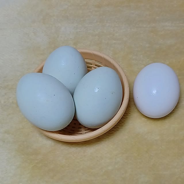 nanaさんの部屋