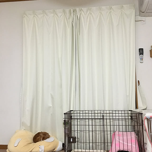 koroさんの実例写真