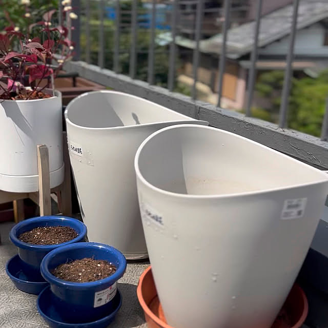 nee_roomさんの部屋