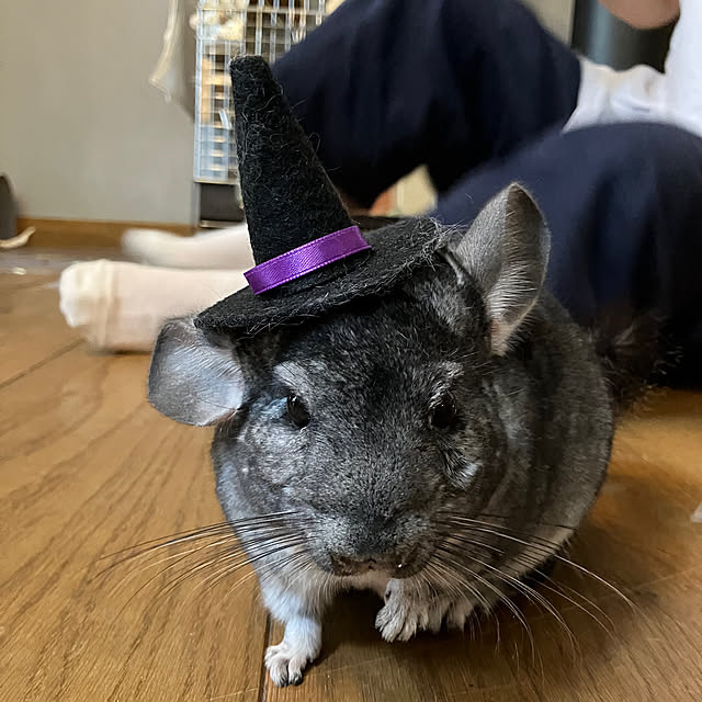 bambiさんの部屋