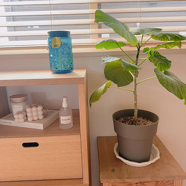 macaさんの実例写真