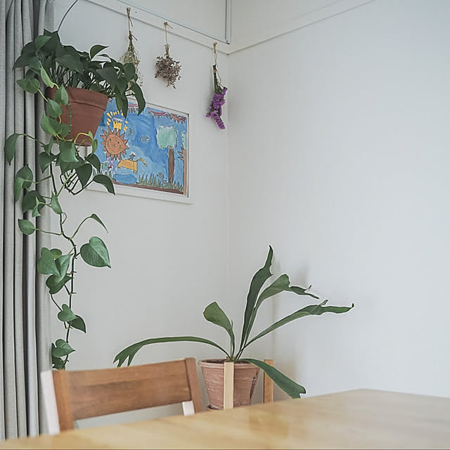 sho.houseさんの実例写真