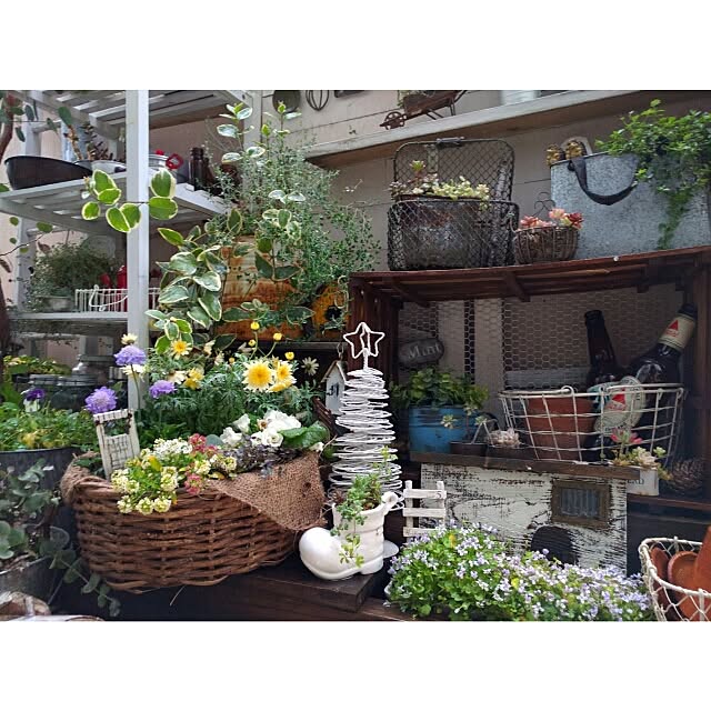 kokkomachaさんの実例写真