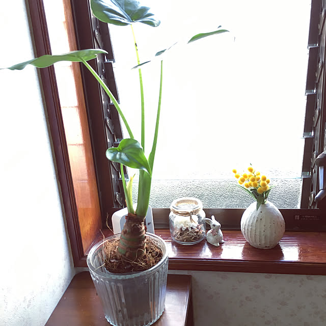 mimichankさんの実例写真