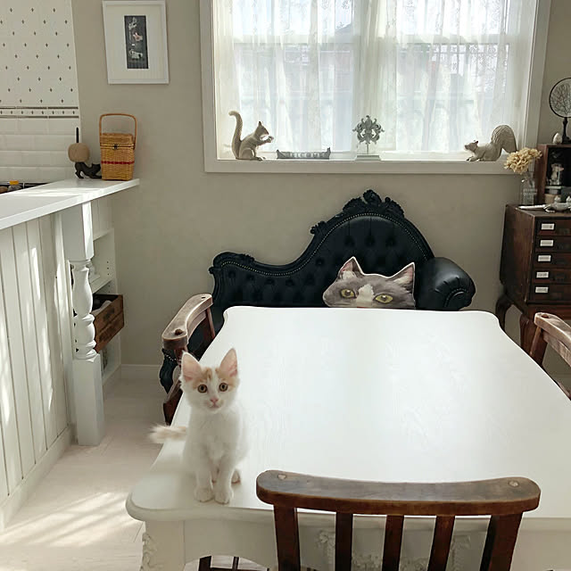 yuchiさんの実例写真