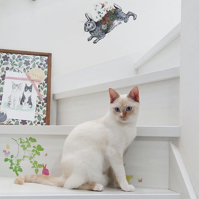 Gomaさんの実例写真