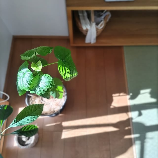 sakiさんの実例写真