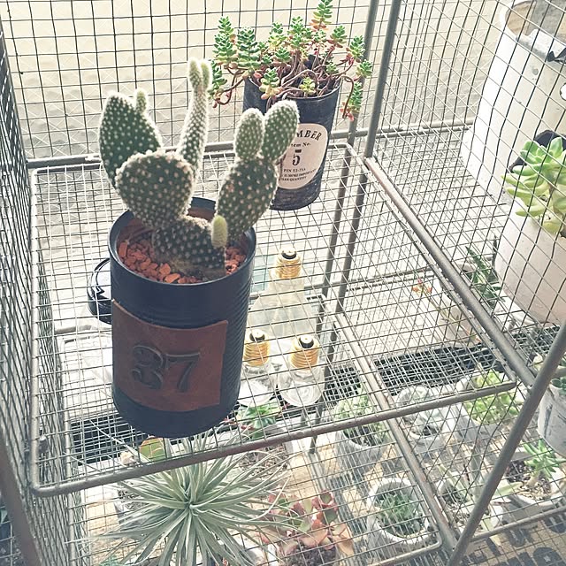 namisanさんの実例写真