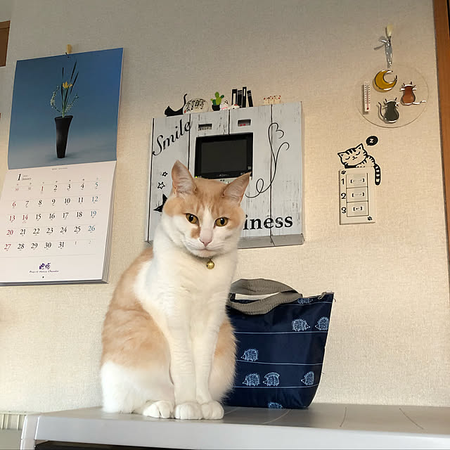 naworinさんの実例写真