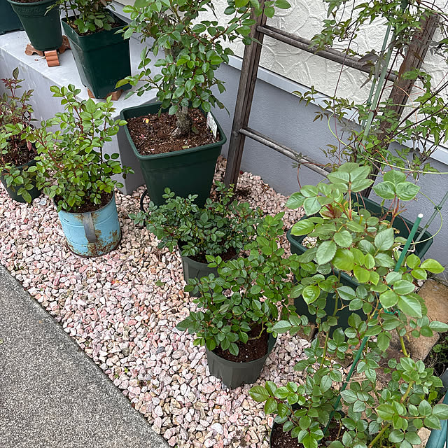 madeleineさんの部屋