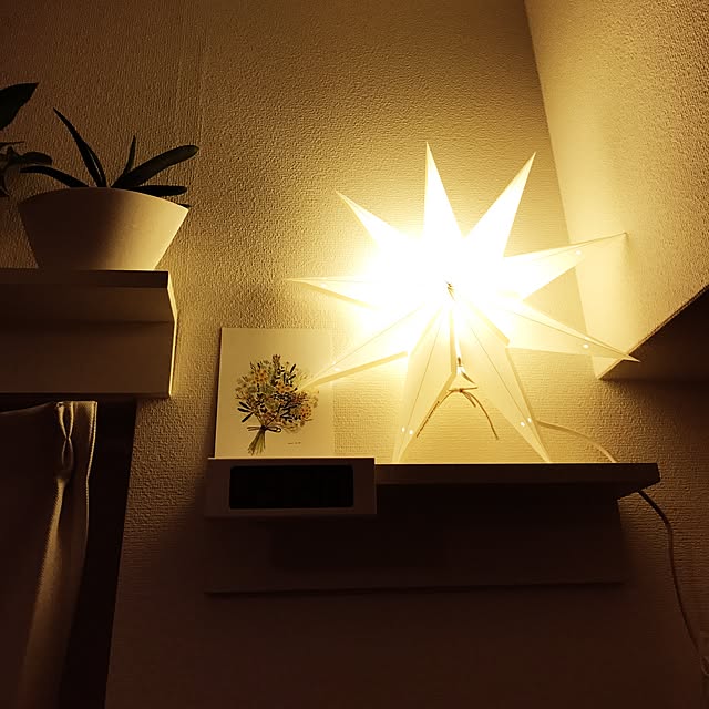 botanさんの実例写真
