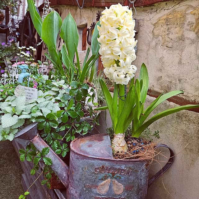 mocomocoさんの部屋