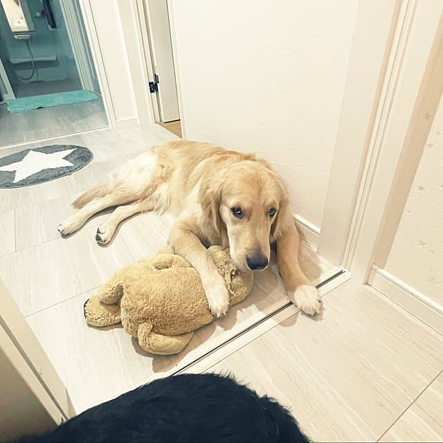 marinkoさんの実例写真