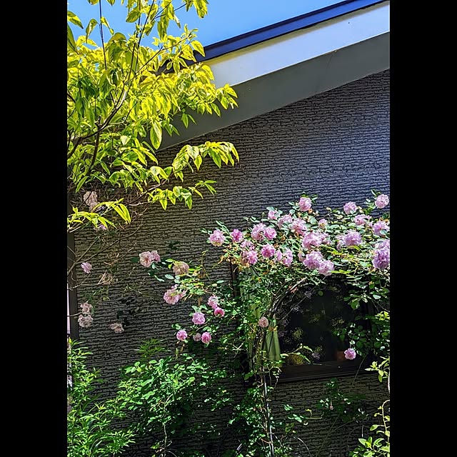 aromameさんの実例写真