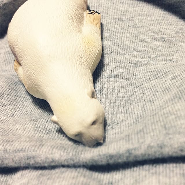 aoiさんの実例写真
