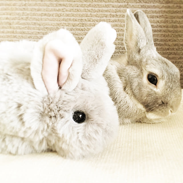 Meさんの実例写真