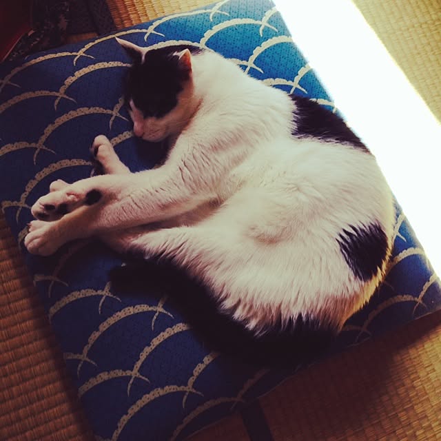 furararaさんの実例写真