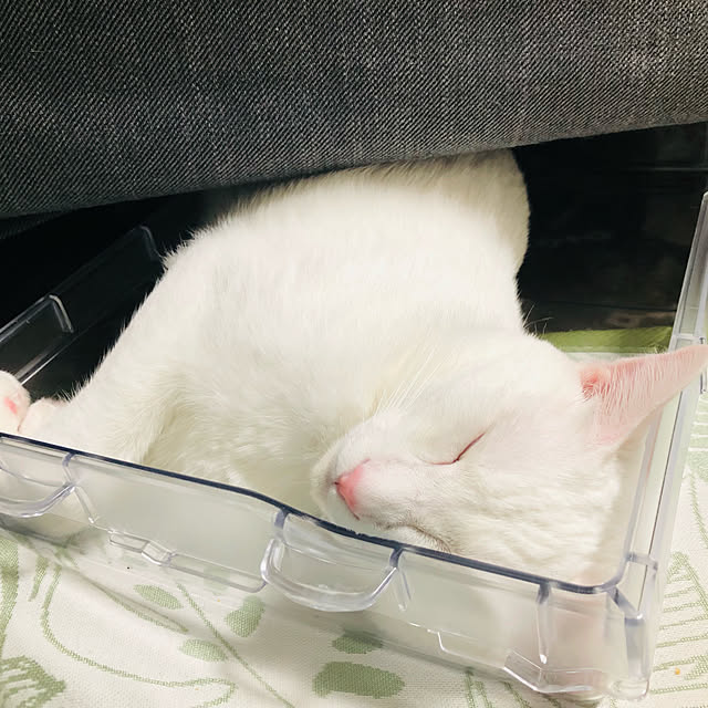 moyuhiさんの実例写真