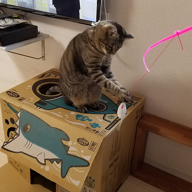 t-famさんの実例写真