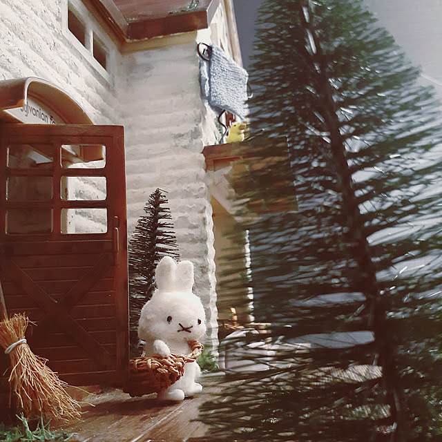 noahさんの実例写真