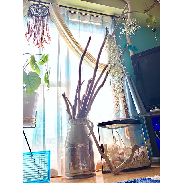 tarezo33さんの実例写真