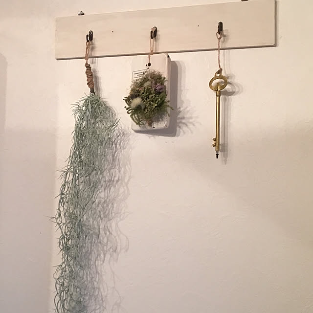 somaさんの実例写真