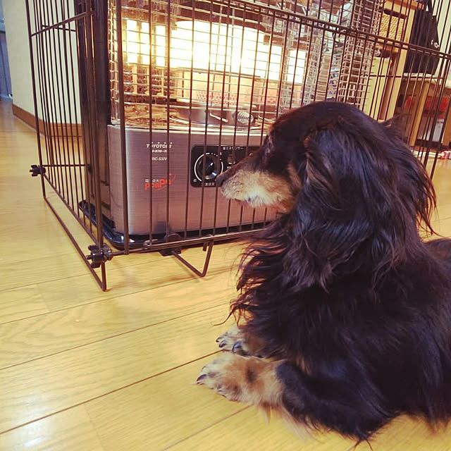 harusukeさんの実例写真