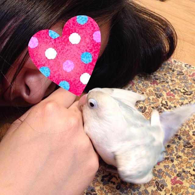 hanakoさんの実例写真