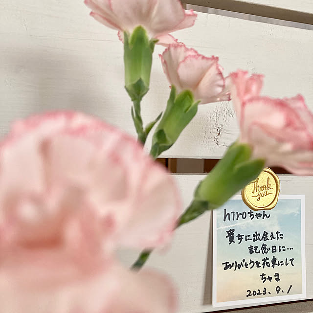 chachamamaさんの実例写真