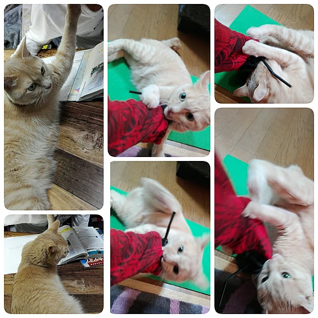 nana.maroさんの実例写真