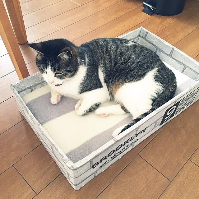Rettiさんの実例写真