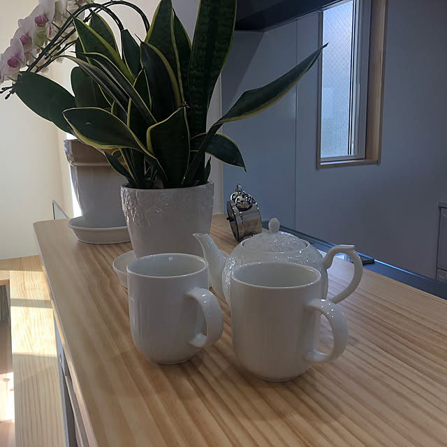 todonekomaiさんの実例写真