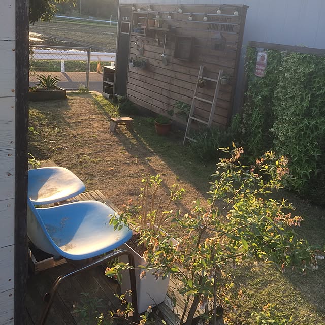 JUNKPUNKさんの実例写真