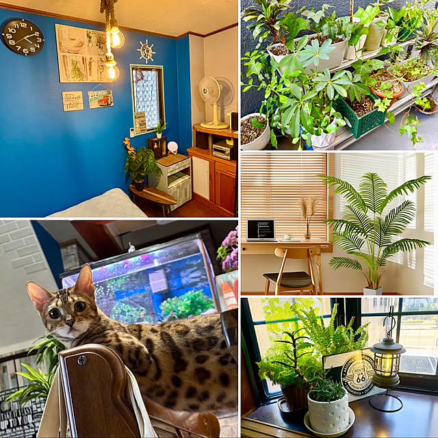 tututu0204さんの部屋