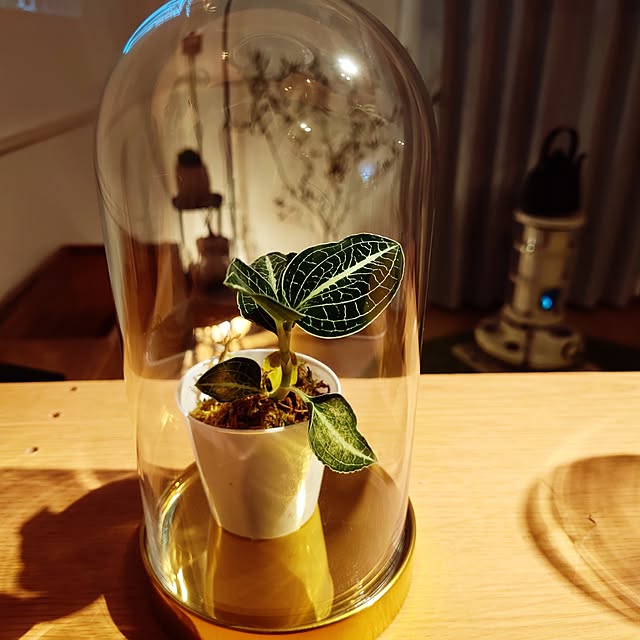 Xign_1992さんの部屋