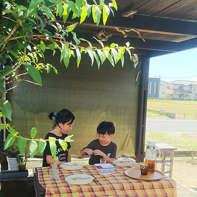 壁/天井/無垢が好き/こどもと暮らす/木に囲まれた暮らし/夏休み...などのインテリア実例 - 2018-08-13 13:41:08