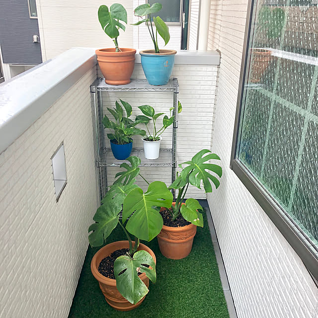 suzyさんの実例写真