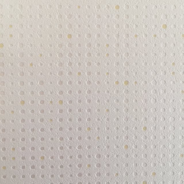 Kiyomiさんの実例写真
