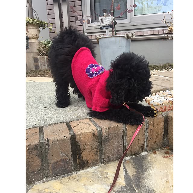 UNI.mamaさんの実例写真