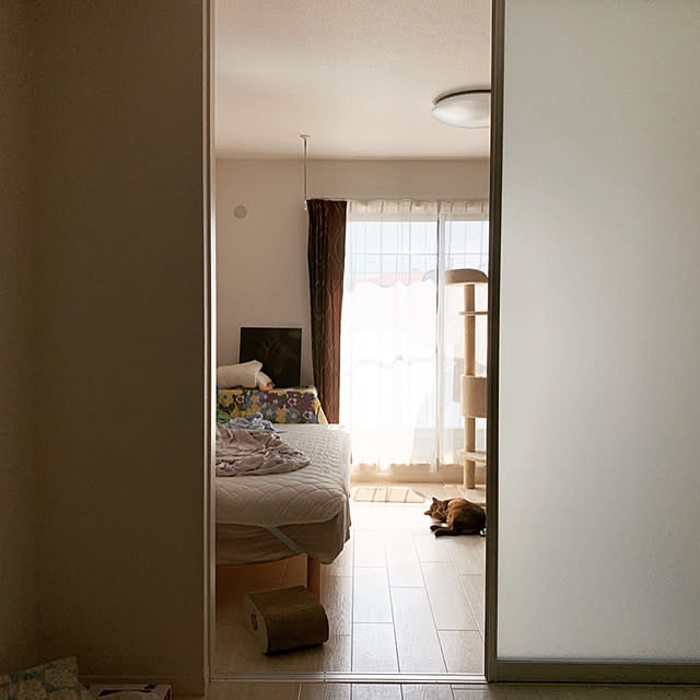 michunekoさんの実例写真