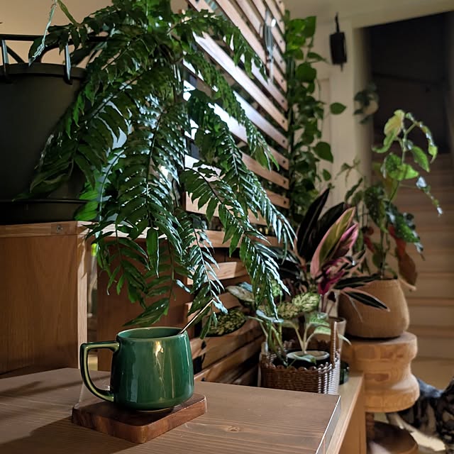 ayamameさんの実例写真