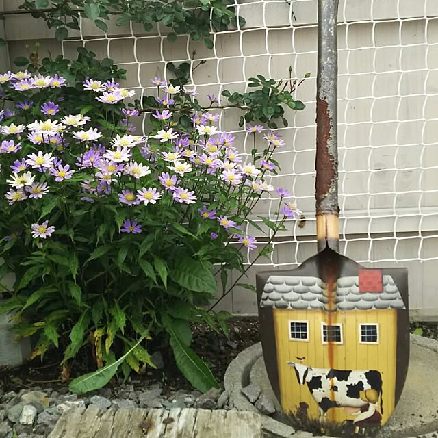 akkeさんの実例写真
