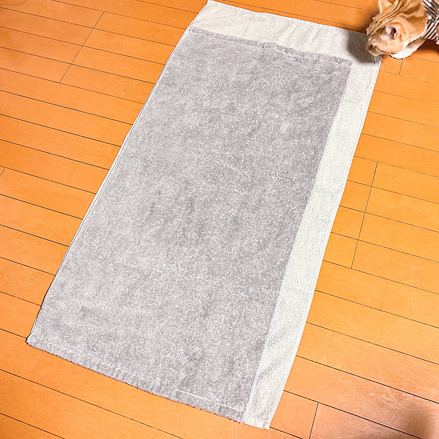 moolさんの実例写真