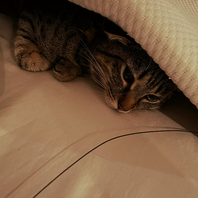 Mさんの実例写真