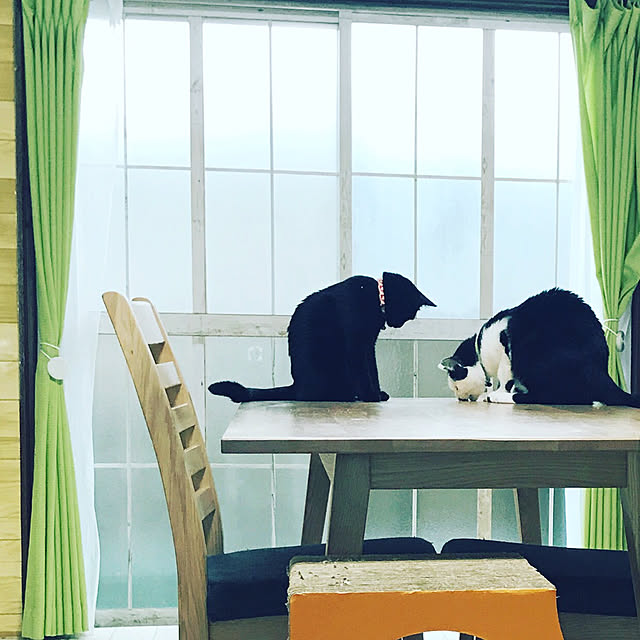 minotchyさんの実例写真