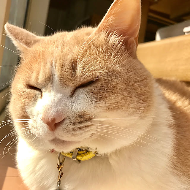BUNさんの実例写真
