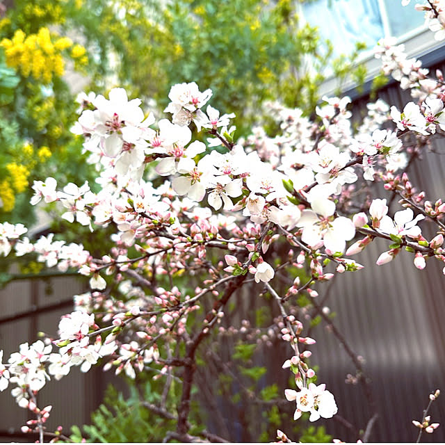 takakoさんの実例写真