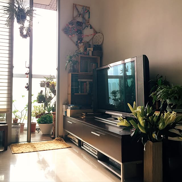 リビング/DIY/観葉植物のインテリア実例 - 2016-11-19 15:11:14