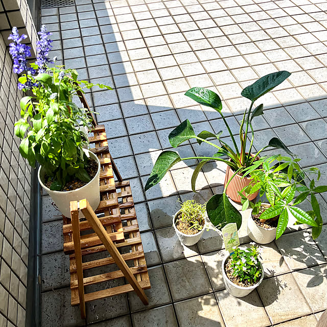 tsukiminoさんの部屋